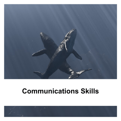 Communications Skills