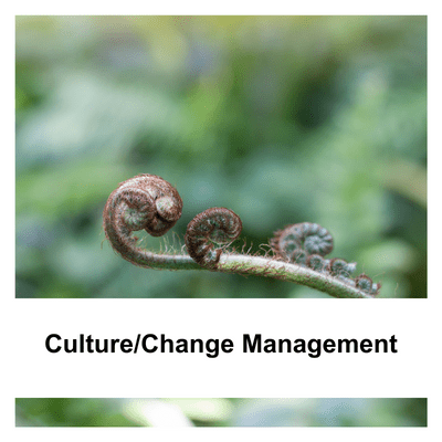 Culture/Change Management