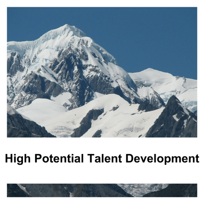 High Potential Talen Development