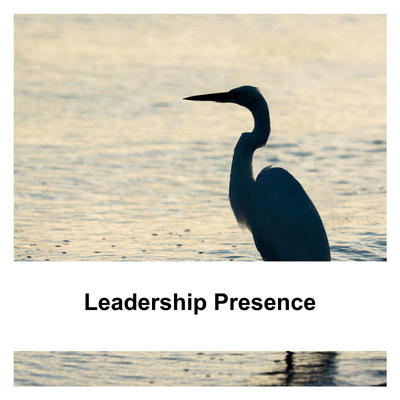 Leadership Presence