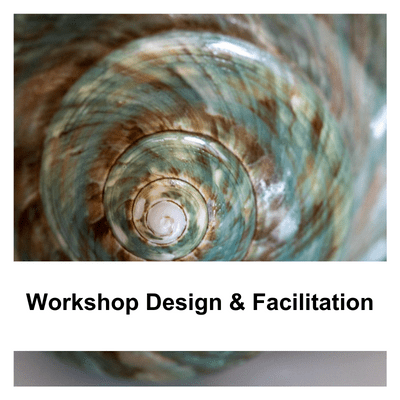 Workshop Design & Facilitation 